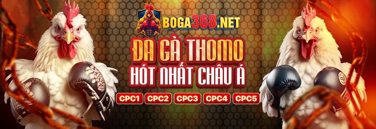Khuyến mãi chào mừng đá gà